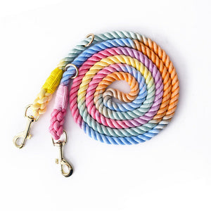 The Vibrant Rainbow Knitting Of Traction Rope: A Must-Have for Every Pet Owner