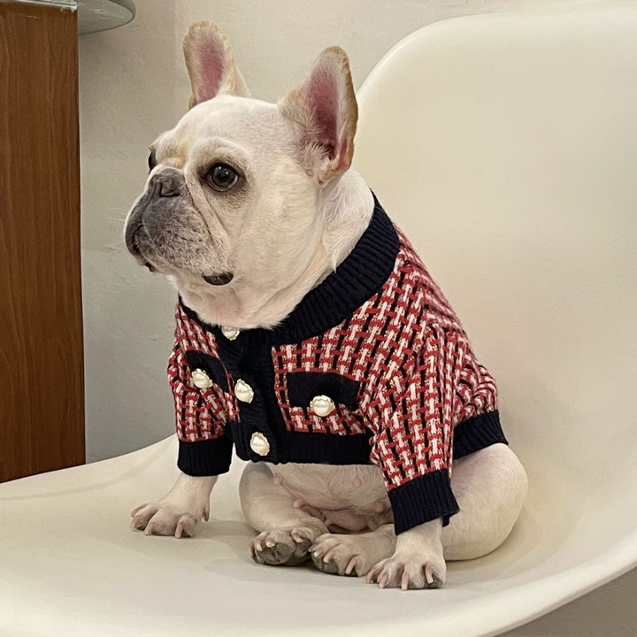 Fashion Cute Print Winter Pet Clothes