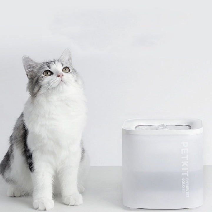 Revolutionize Your Pet's Hydration with the Wireless Loop Filter Pet Water Bowl