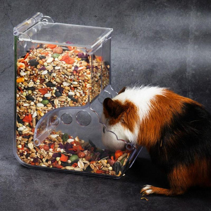 Why Every Hamster Owner Needs the Hamster Feeder Food Box