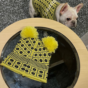 Keep Your Pets Cozy This Winter with Our Sweater