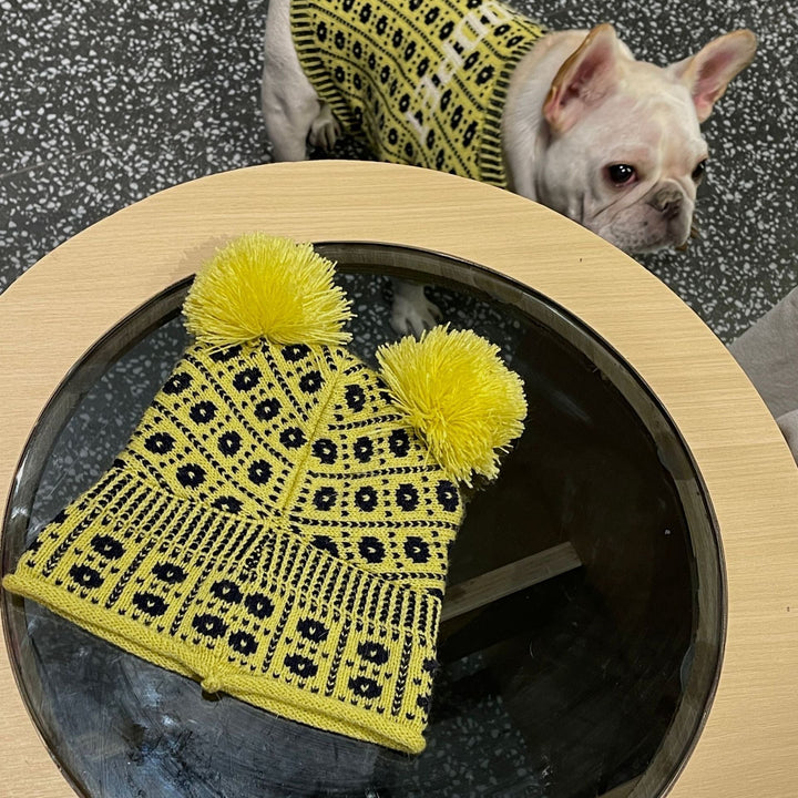 Keep Your Pets Cozy This Winter with Our Sweater