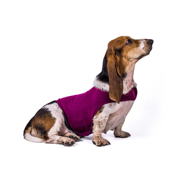 Transform Your Pet's Experience with the Anxiety Jacket Vest