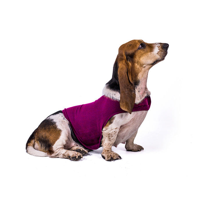 Transform Your Pet's Experience with the Anxiety Jacket Vest