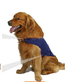 Pet Soothing Clothes For Dogs: The Ultimate Comfort Solution