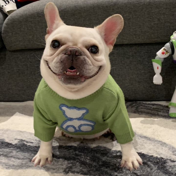 Keep Your Pup Cozy This Fall and Winter!