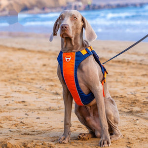 Discover the Ultimate Comfort with the Hand Rope New Dog Chest Strap Vest Style