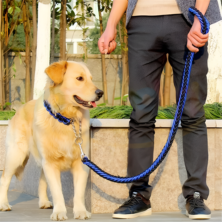 Caring Made Luxurious — The Art of Pet Essentials