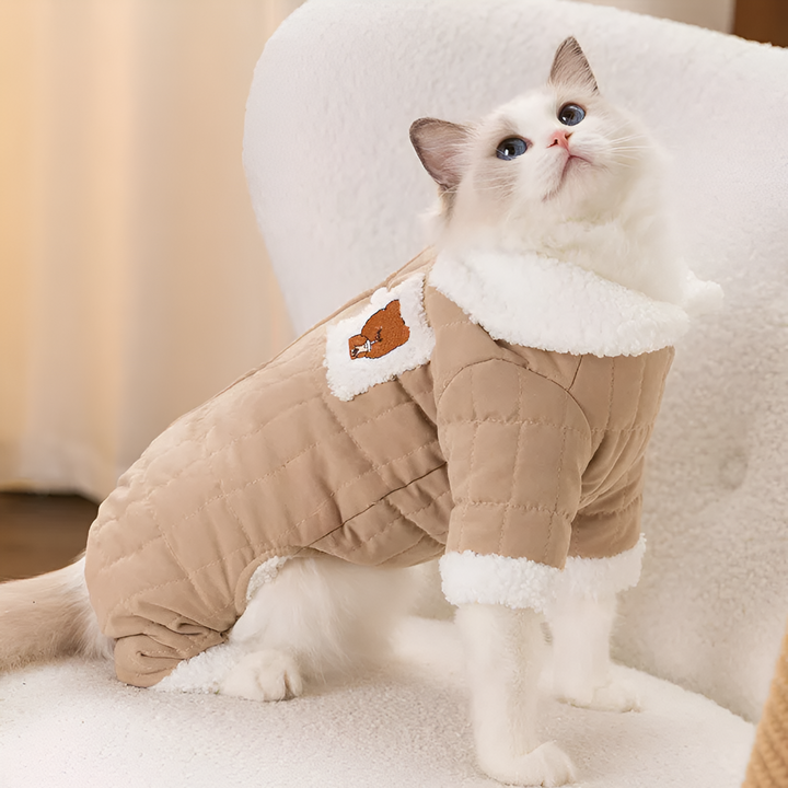 Style Meets Functionality — Redefining Pet Fashion