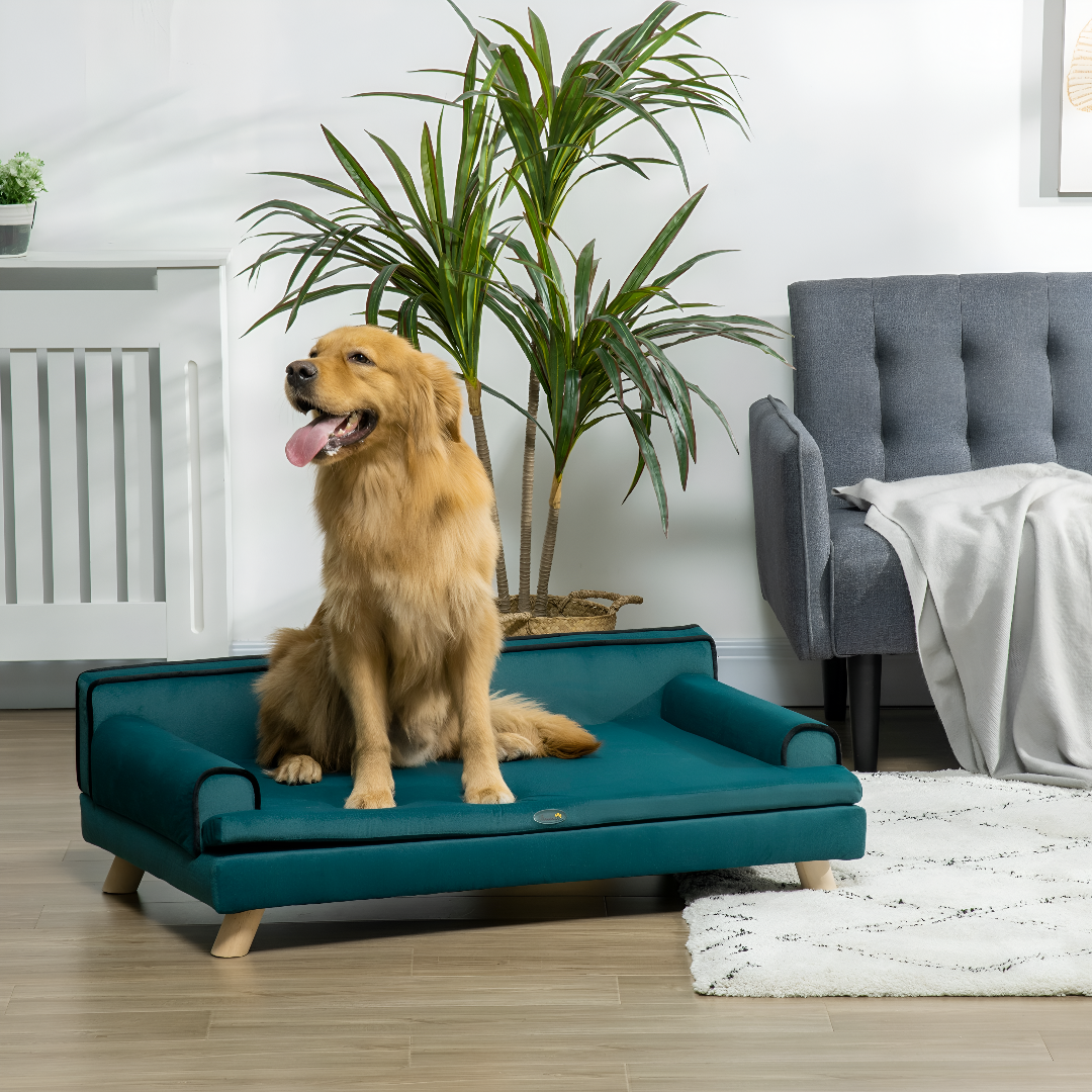 Creating Cozy Spaces — The Power of Pet Beds