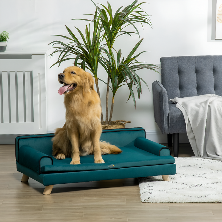 Creating Cozy Spaces — The Power of Pet Beds