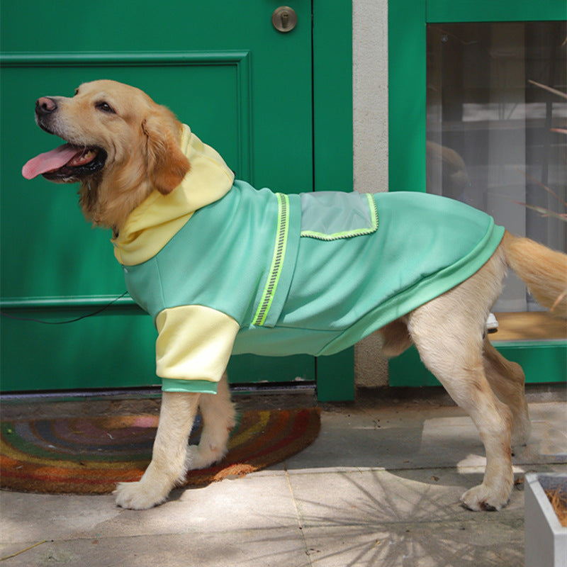 Why Your Large Dog Needs Our Stylish Sweater