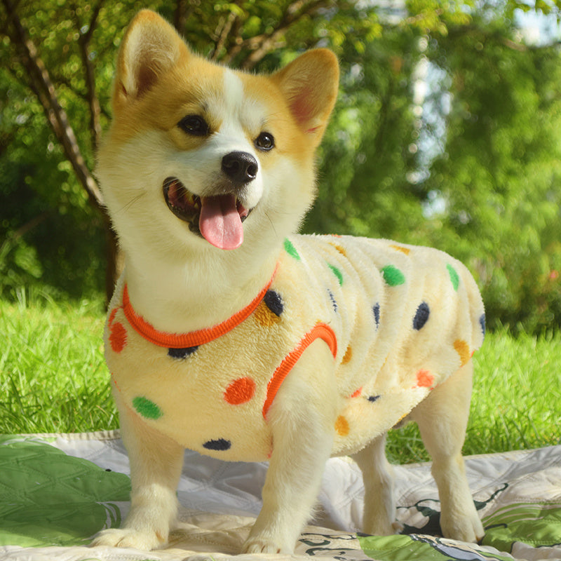 Dog Clothes Fall And Winter Medium-sized