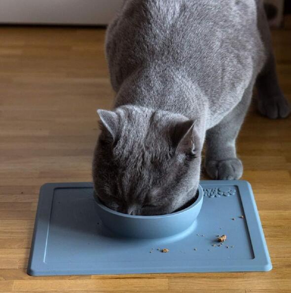 anti-splash anti-sprinkler silicone pet bowl pet plate