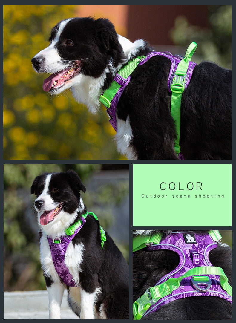 Dog leashes dog chain vest  straps