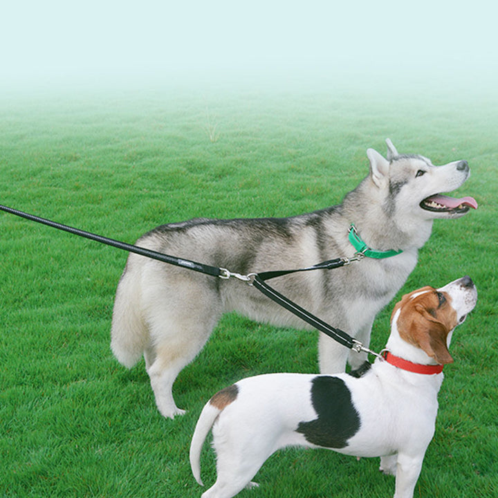 Double-Headed One-To-Two Nylon Dog Leash