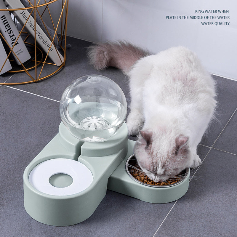Automatic Feeder For Kitten Water Drinking Bowl Feeding Container