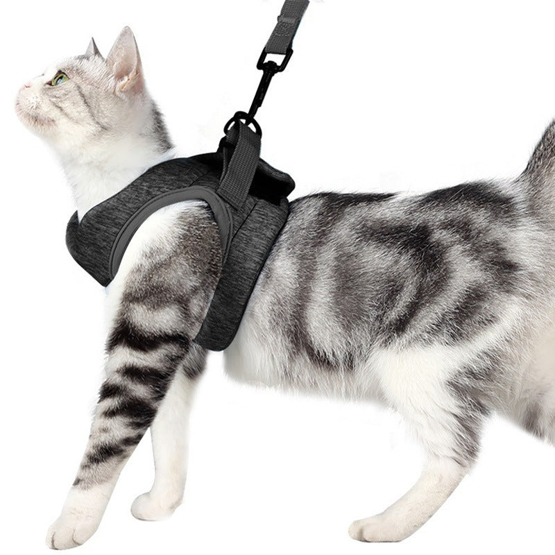 Cat Traction Rope Breathable Light Chest Strap