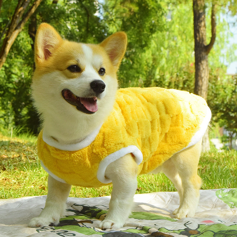 Dog Clothes Fall And Winter Medium-sized