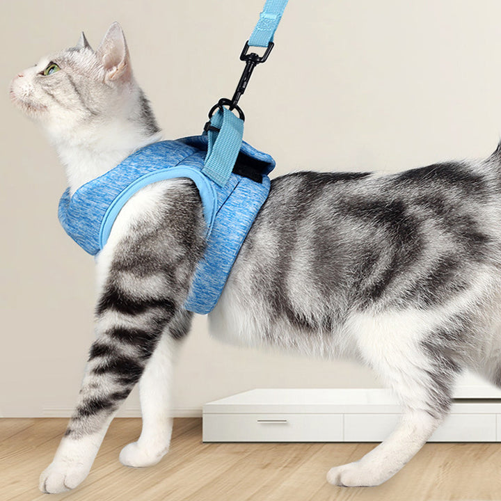 Cat Traction Rope Breathable Light Chest Strap
