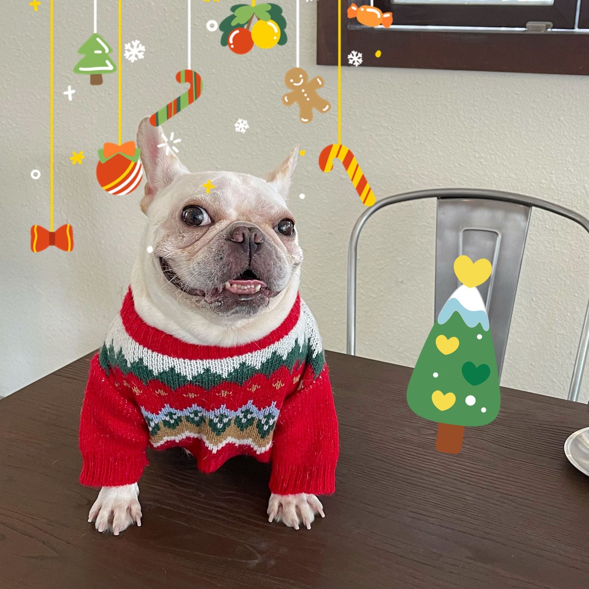 Pet Christmas Sweater Dog