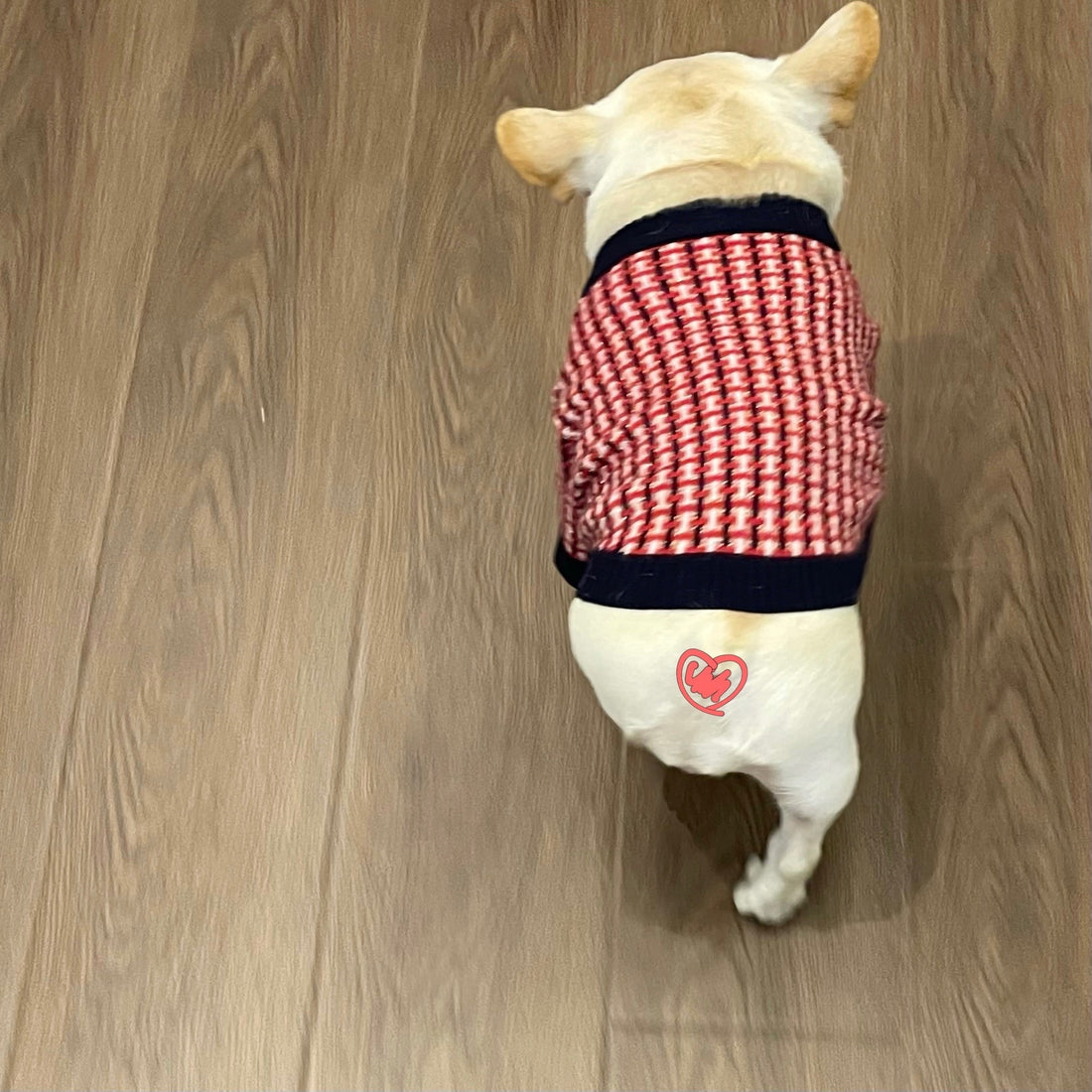 Fashion Cute Print Winter Pet Clothes