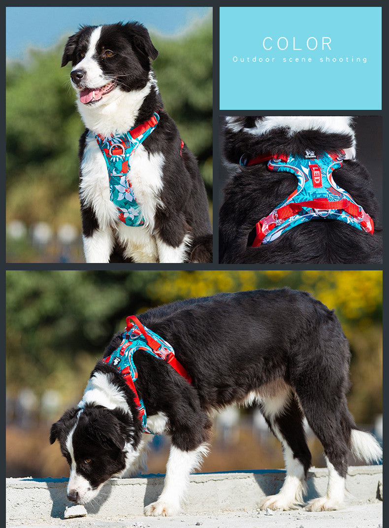 Dog leashes dog chain vest  straps