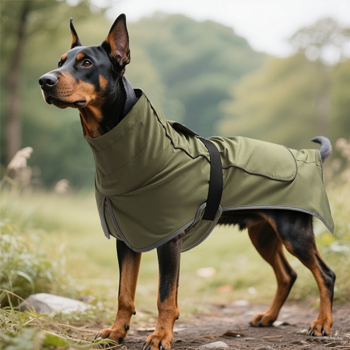 Dog Shell Jacket Waterproof