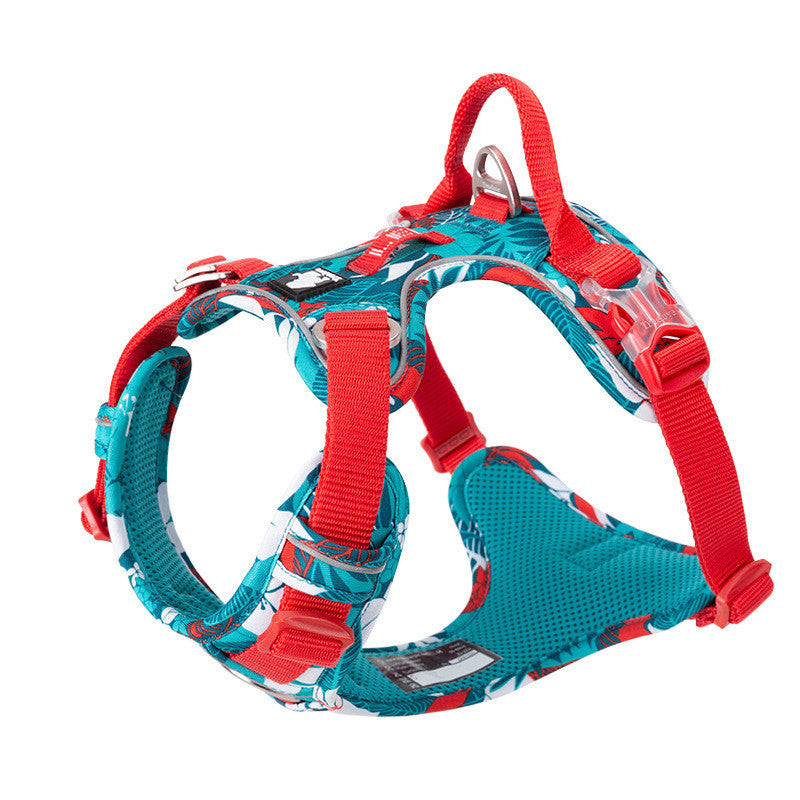 Dog leashes dog chain vest  straps