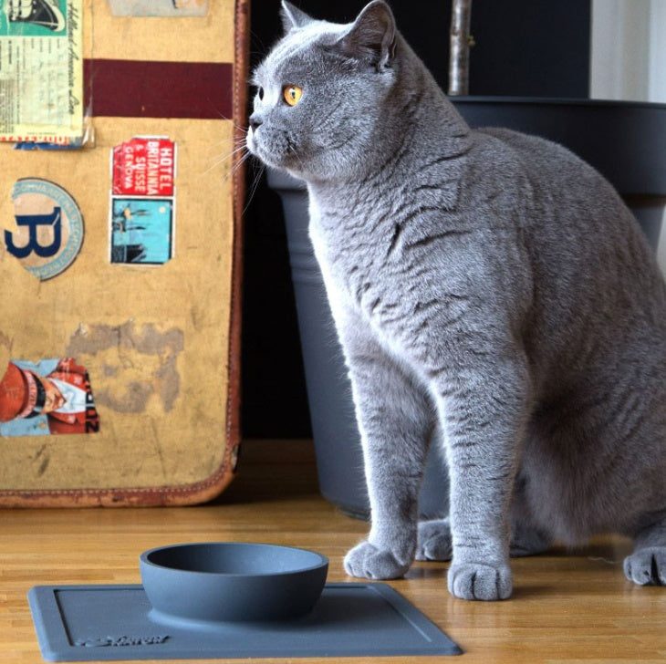 anti-splash anti-sprinkler silicone pet bowl pet plate