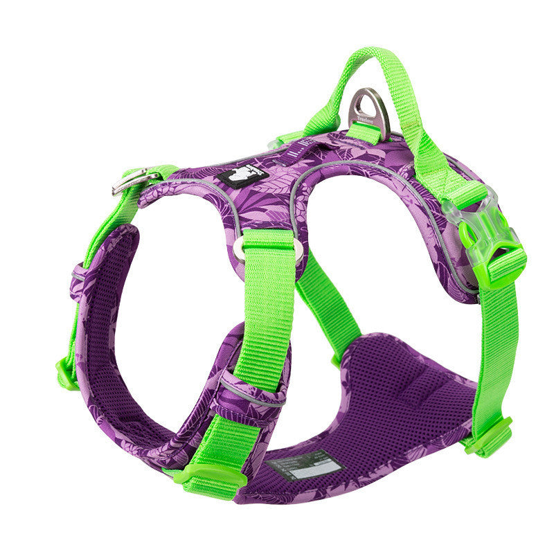 Dog leashes dog chain vest  straps