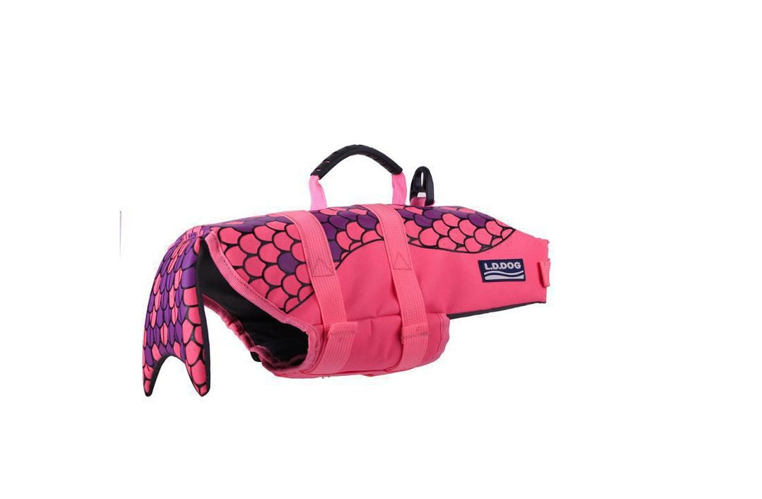 Pet rescue kits transform pet life jackets