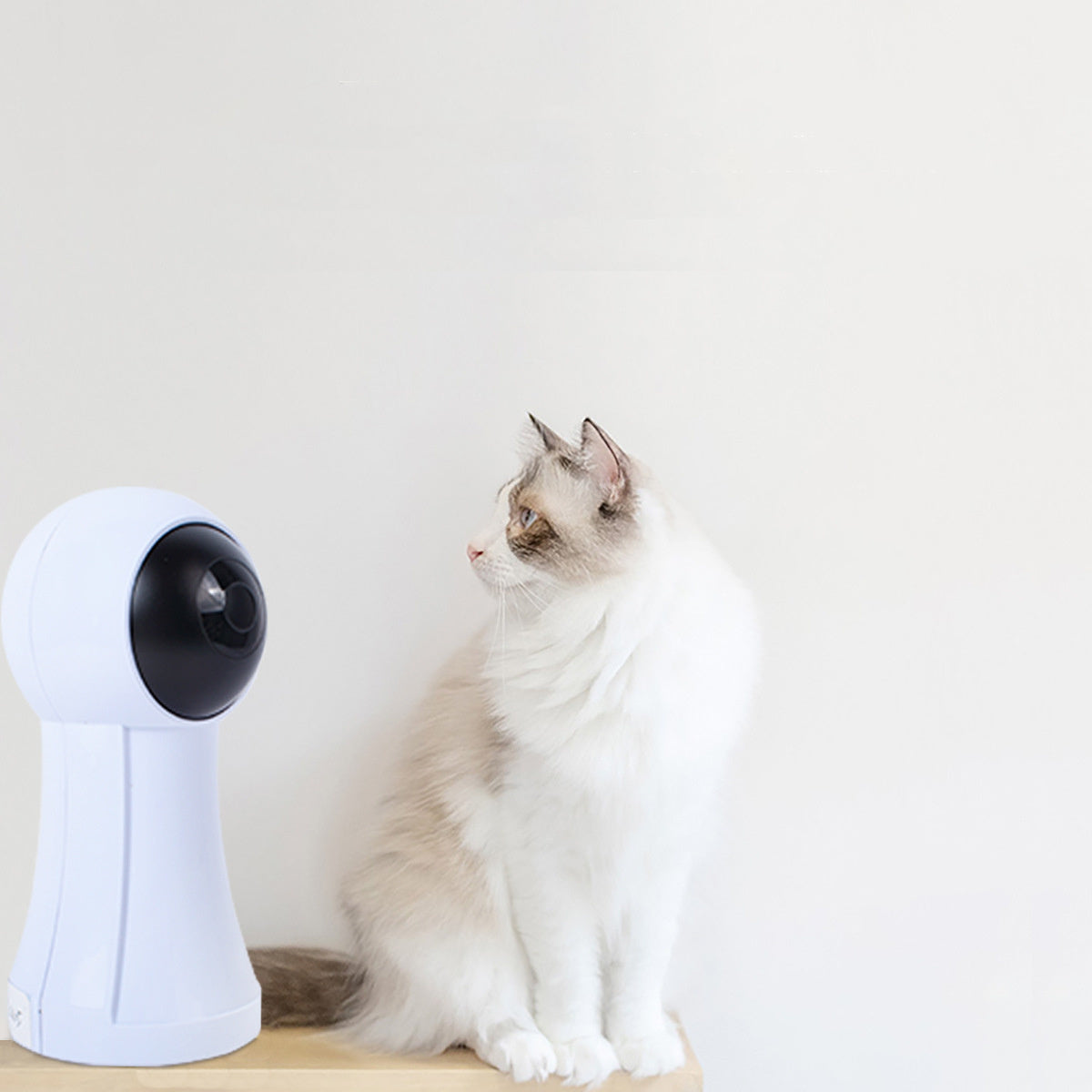 Funny Cat Artifact Infrared Laser Exercise Toy
