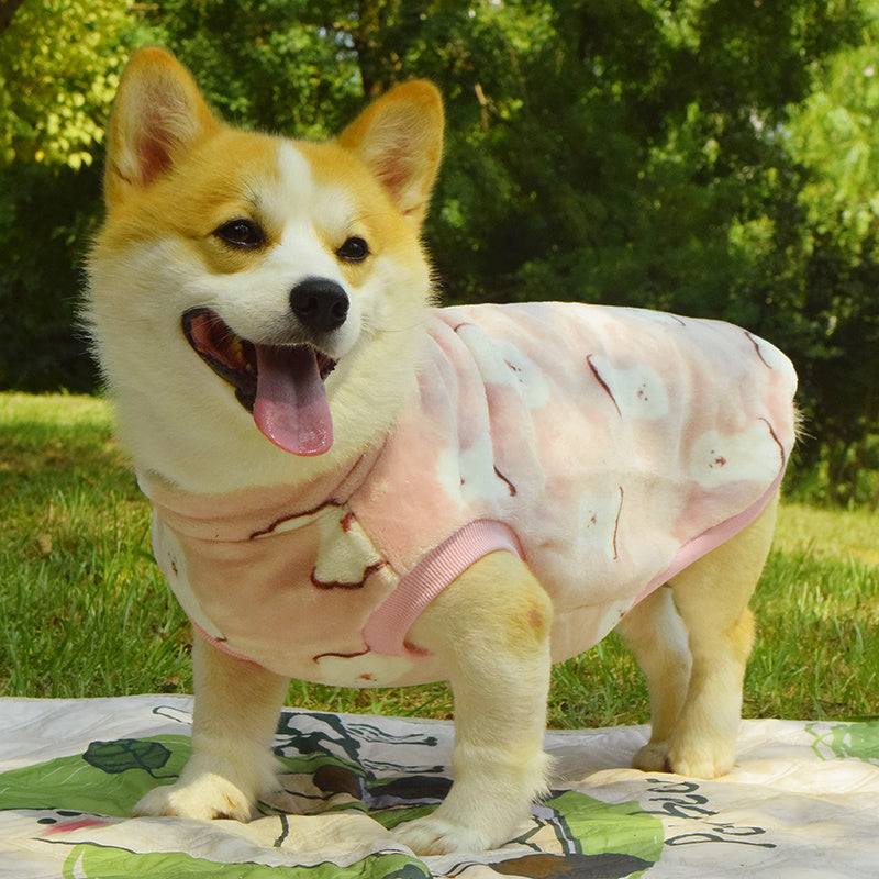 Dog Clothes Fall And Winter Medium-sized