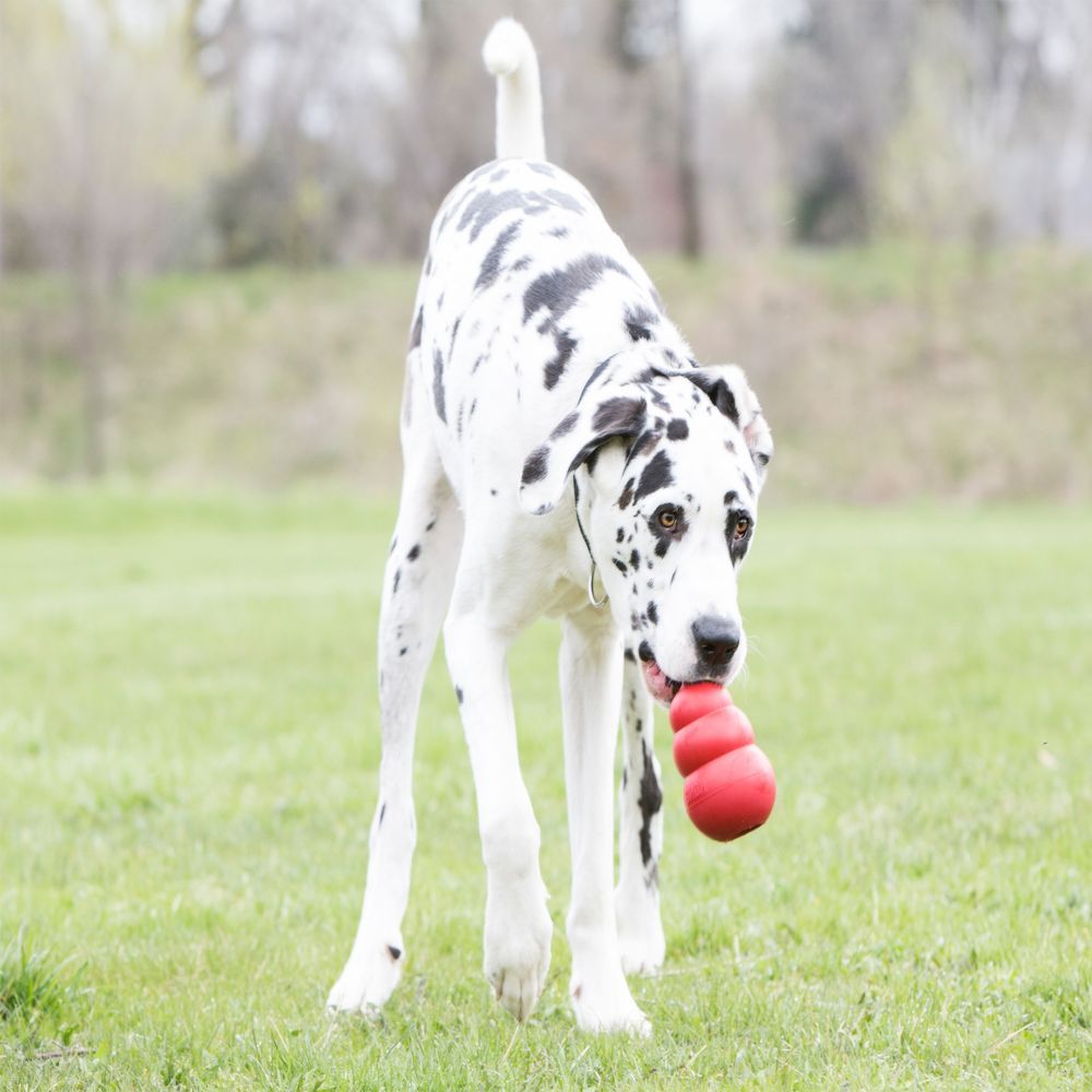 Gourd Bite-resistant Food Leakage Rubber Dog Toy