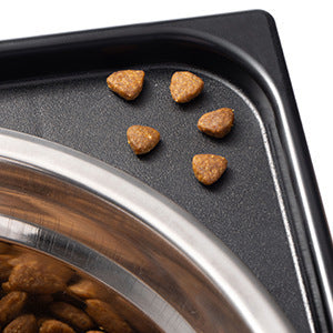 Pet Lifting Feeding Bowl Neck Protection Anti-tumble