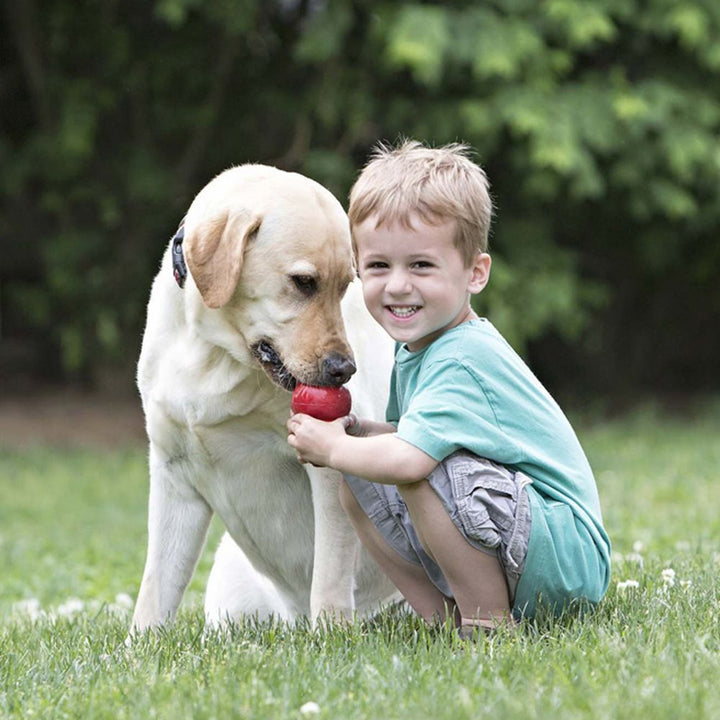 Gourd Bite-resistant Food Leakage Rubber Dog Toy