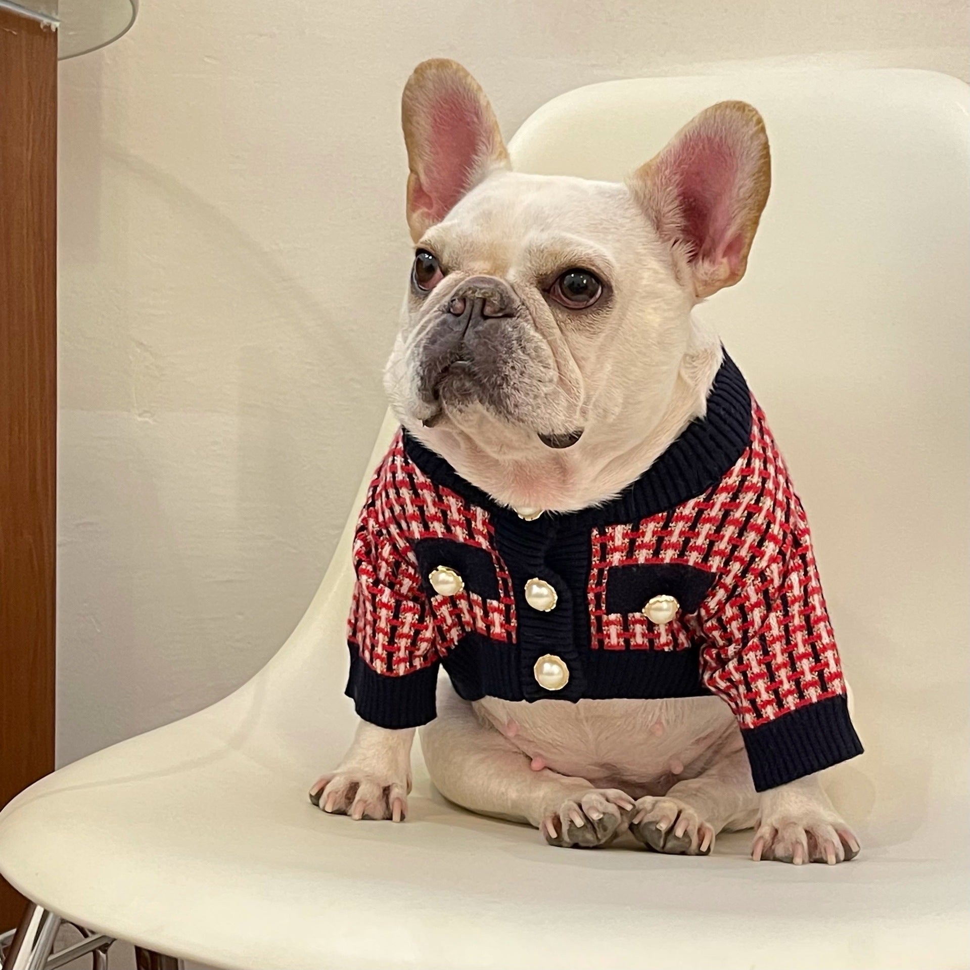 Fashion Cute Print Winter Pet Clothes