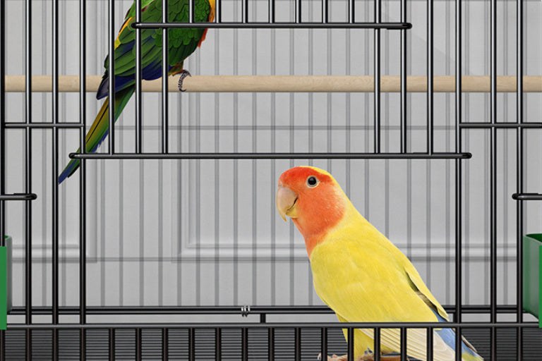 Home Double Layer New Bird Cage