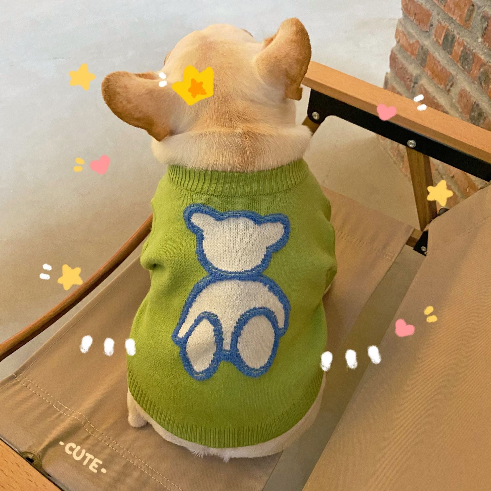 Dog Puppy Fall Winter Sweater