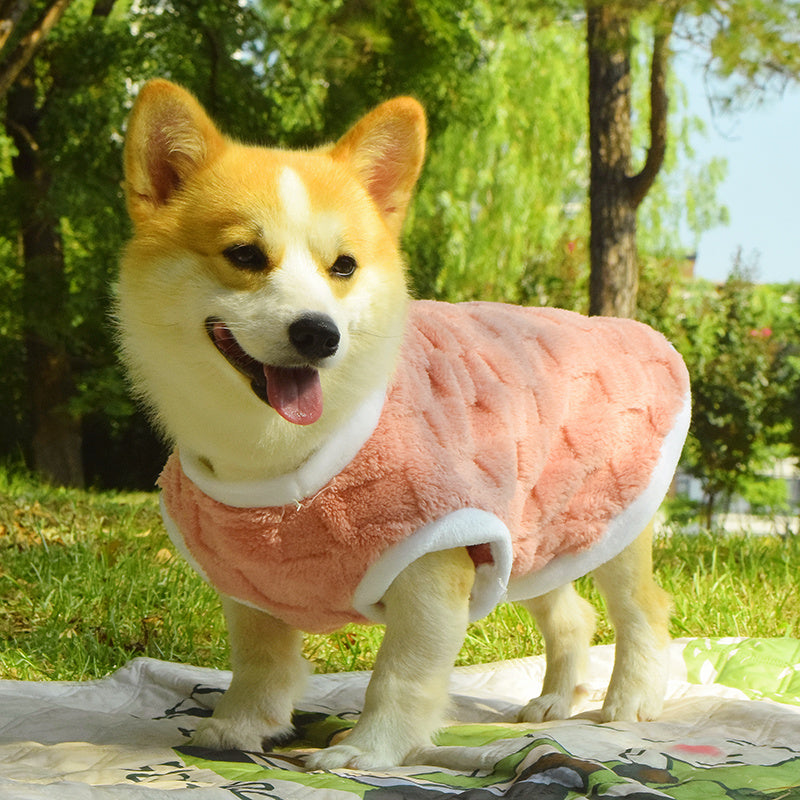 Dog Clothes Fall And Winter Medium-sized