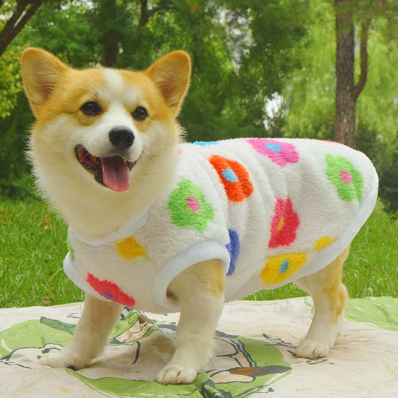 Dog Clothes Fall And Winter Medium-sized