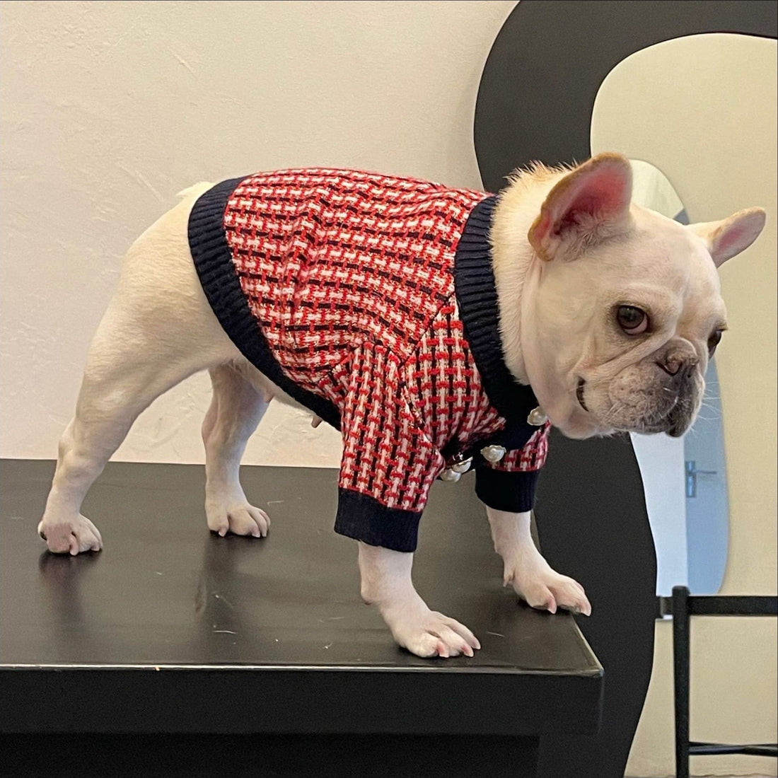 Fashion Cute Print Winter Pet Clothes