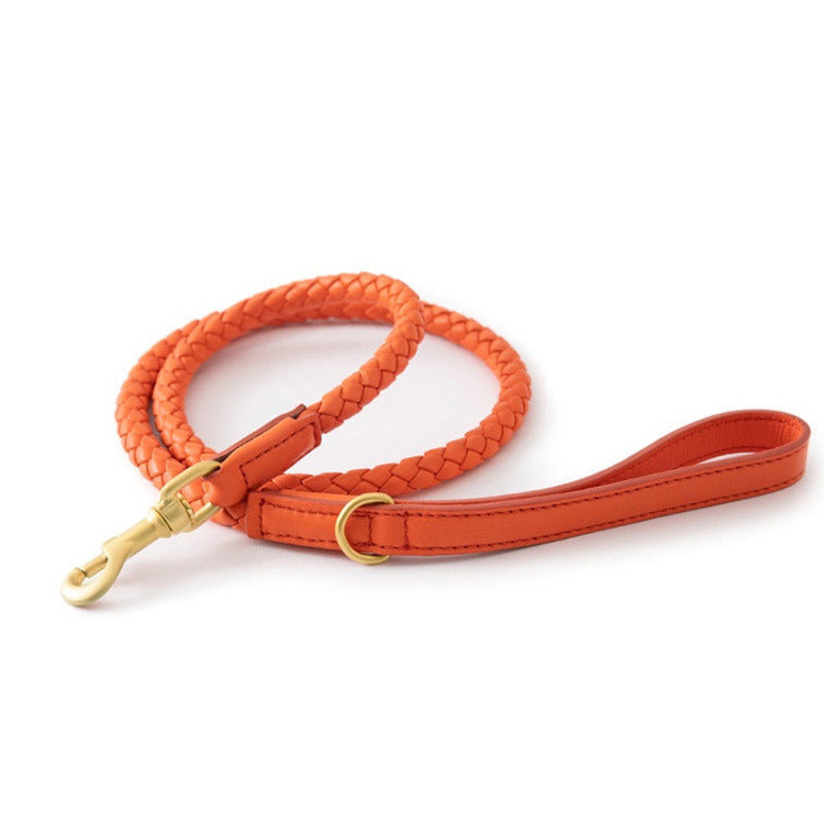 High-end Large Dog Collar Sturdy