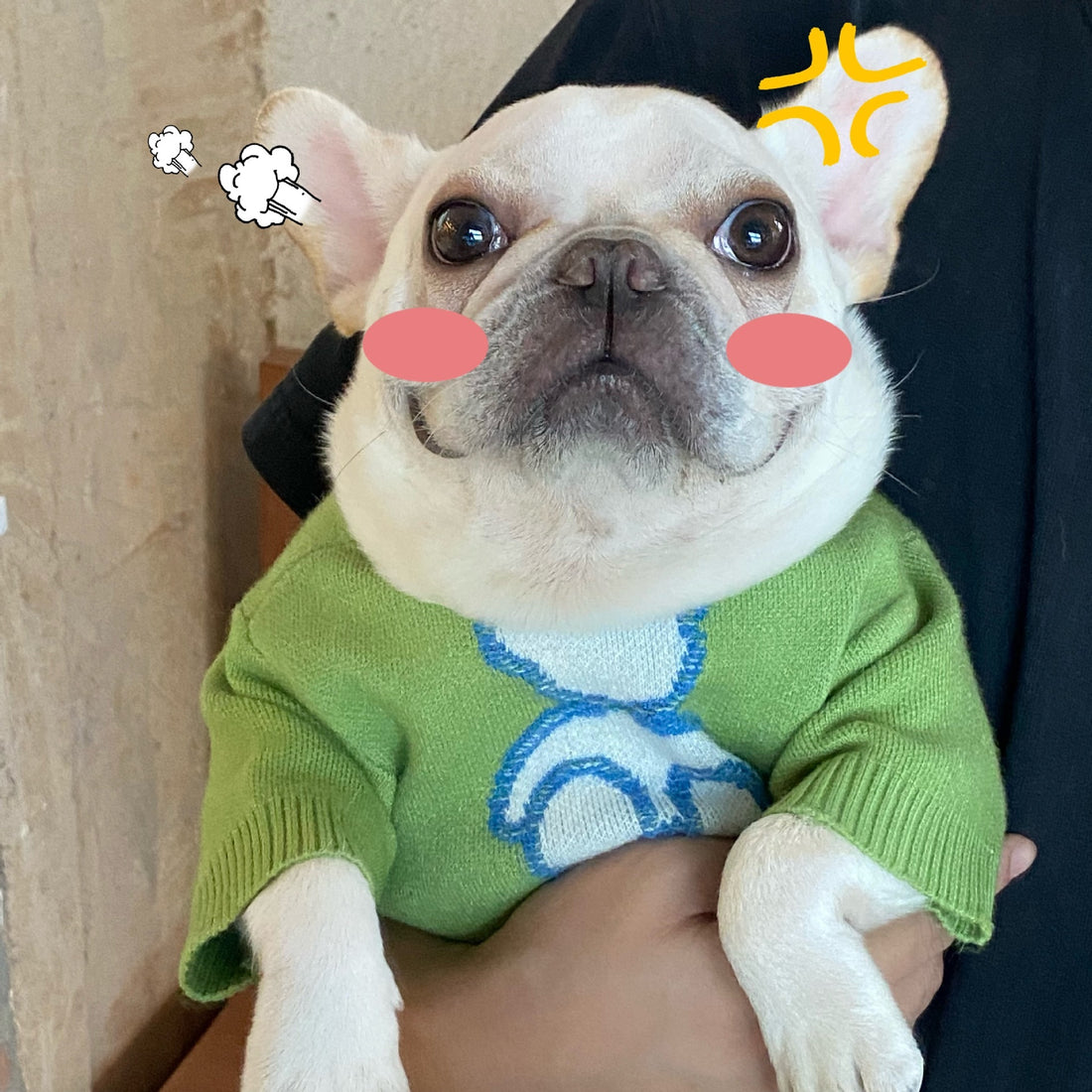 Dog Puppy Fall Winter Sweater