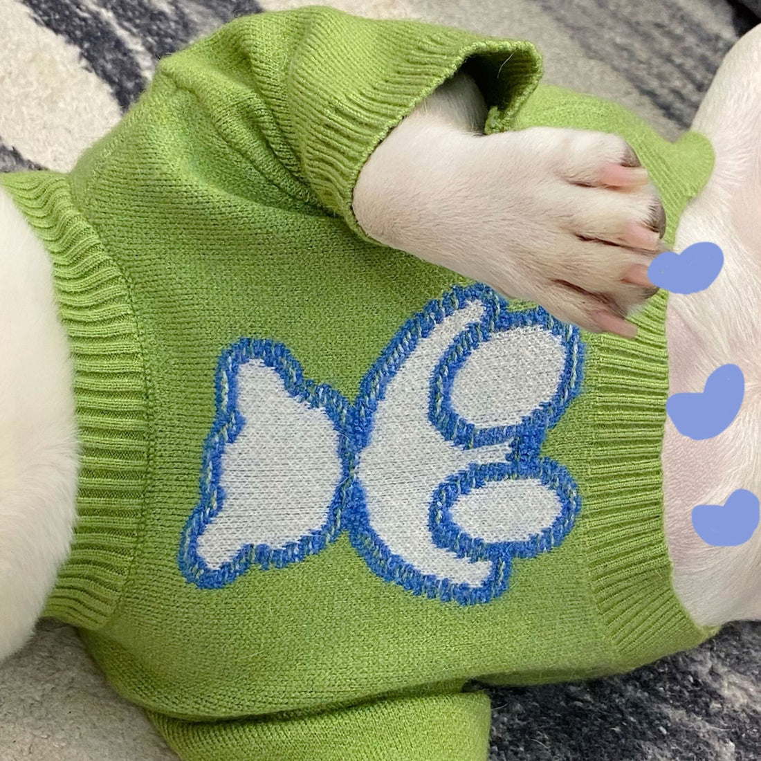 Dog Puppy Fall Winter Sweater
