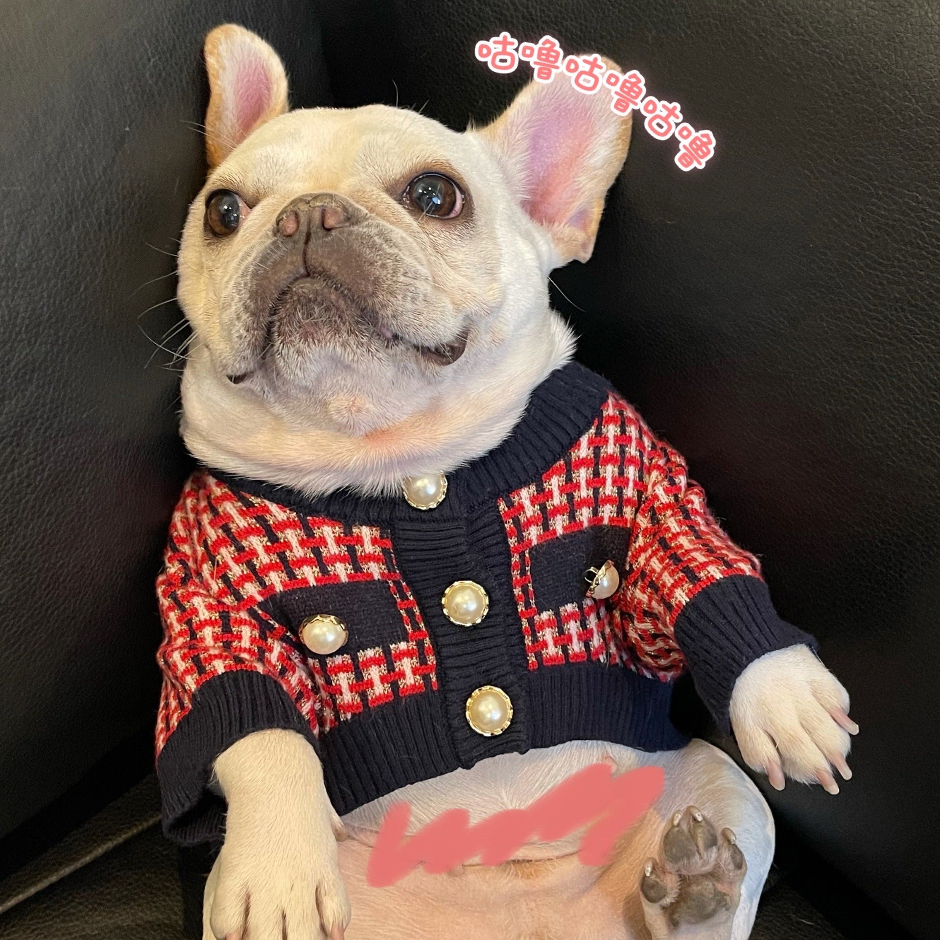 Fashion Cute Print Winter Pet Clothes