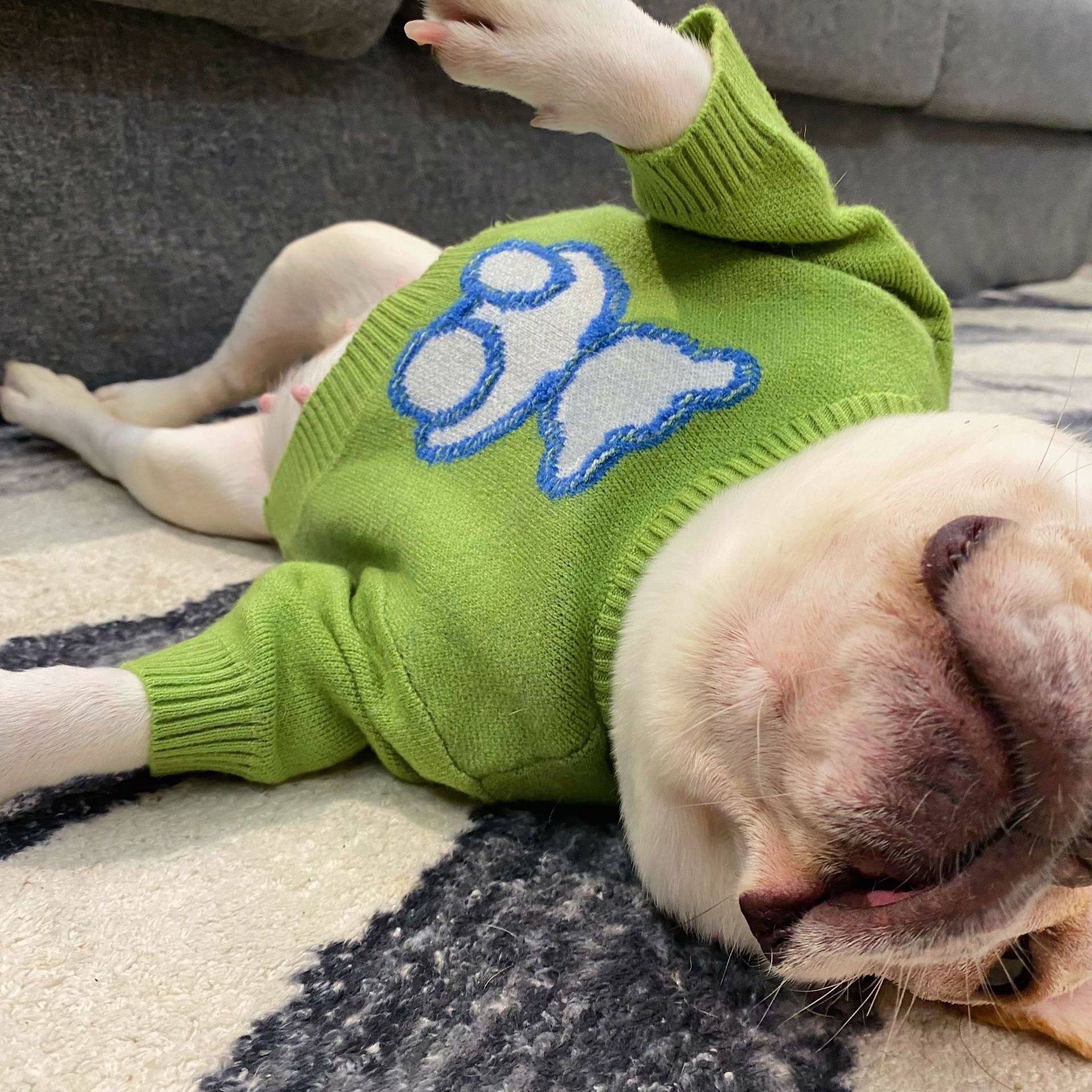 Dog Puppy Fall Winter Sweater
